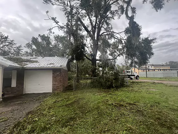 Crane Work Dead Limb Removal Perry Florida