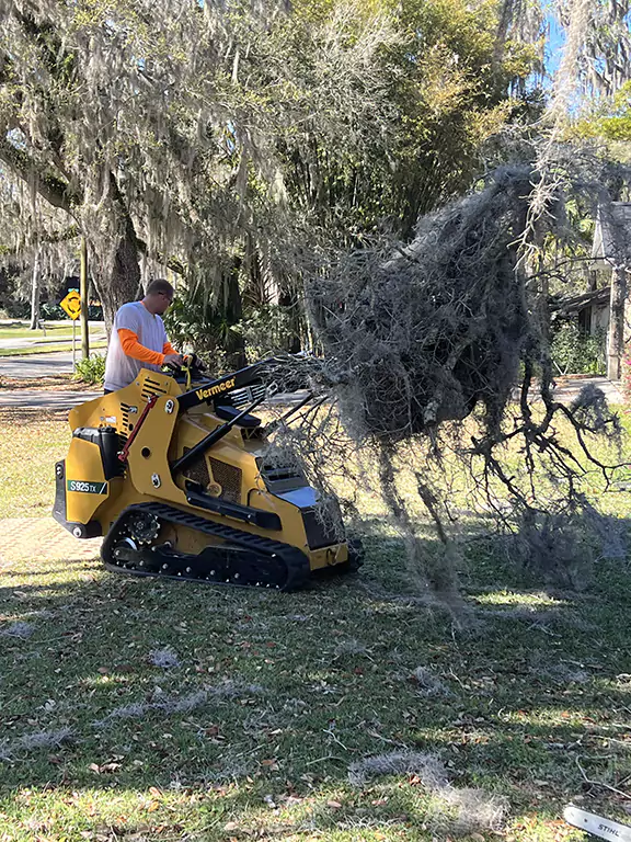 Debris Removal after tree trimming in Ocala Florida
